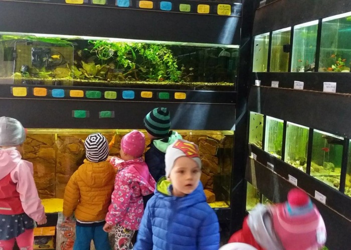 Przedszkole Pszczółka, przedszkole Lublin - Z wizytą w sklepie zoologicznym