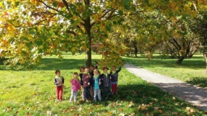 Przedszkole Pszczółka, Przedszkole Lublin - Szukamy jesieni